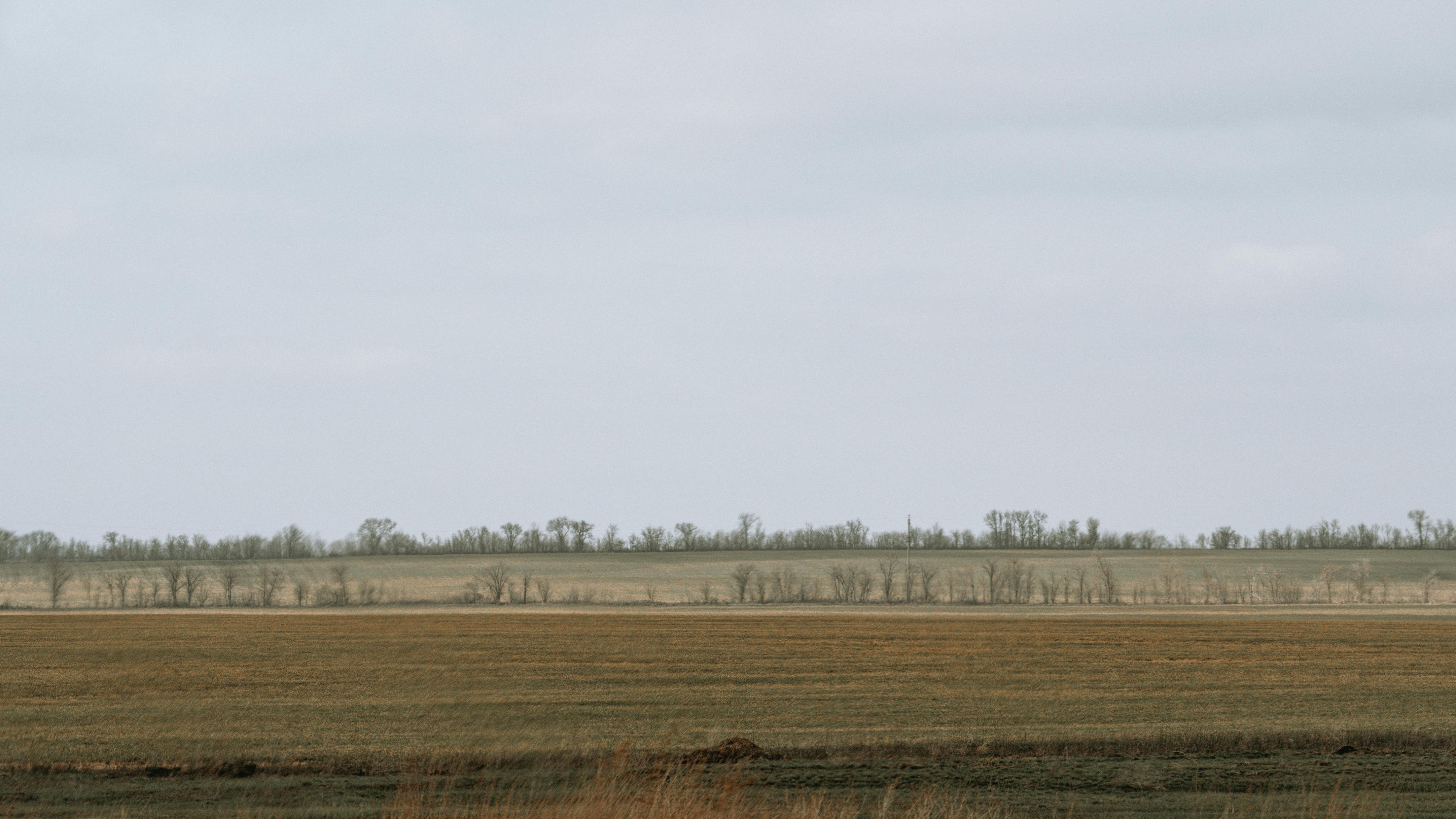 A barren stretch of dry land with thin, dusty trees in the distance