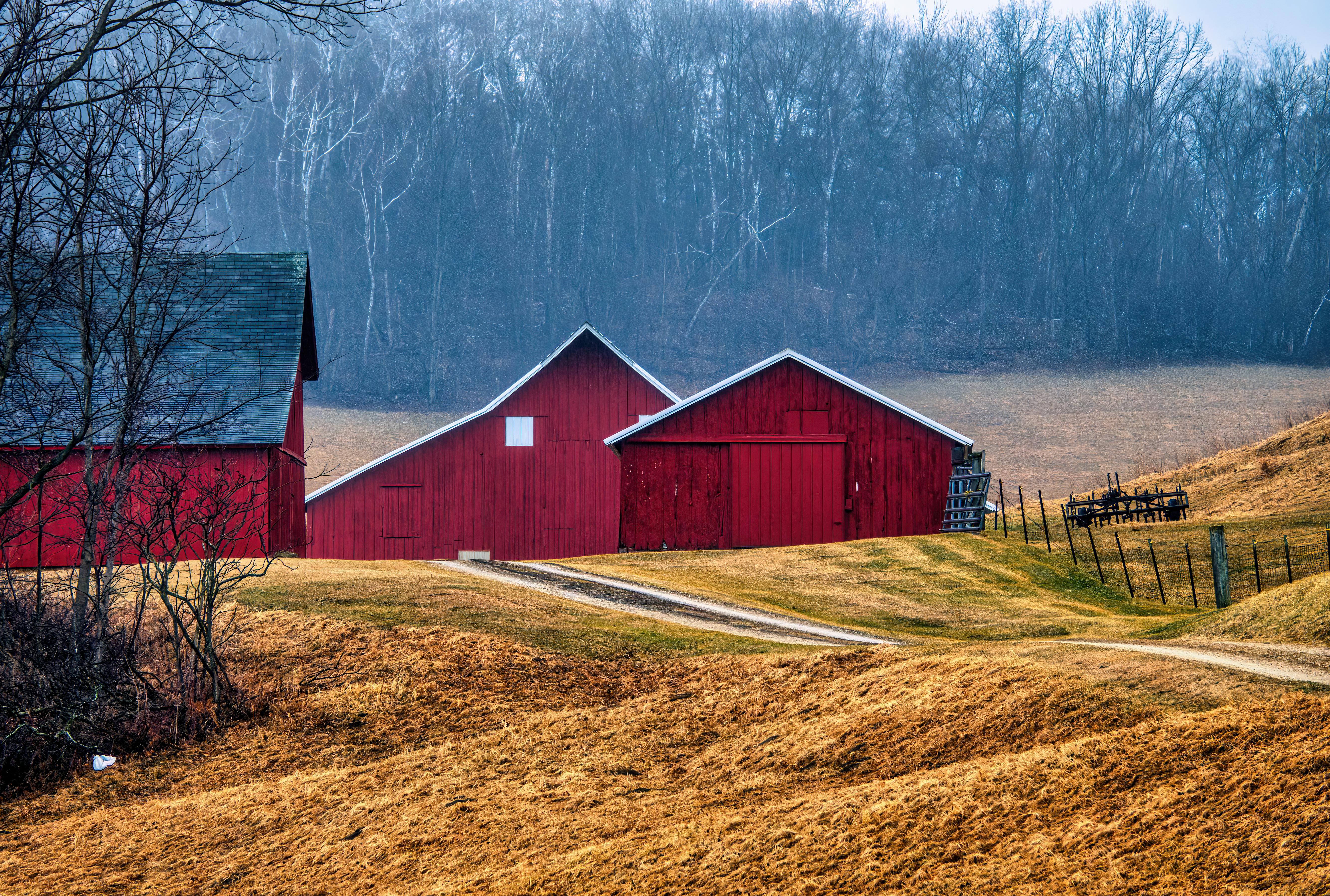 Red wodden barns against a winter treeline.